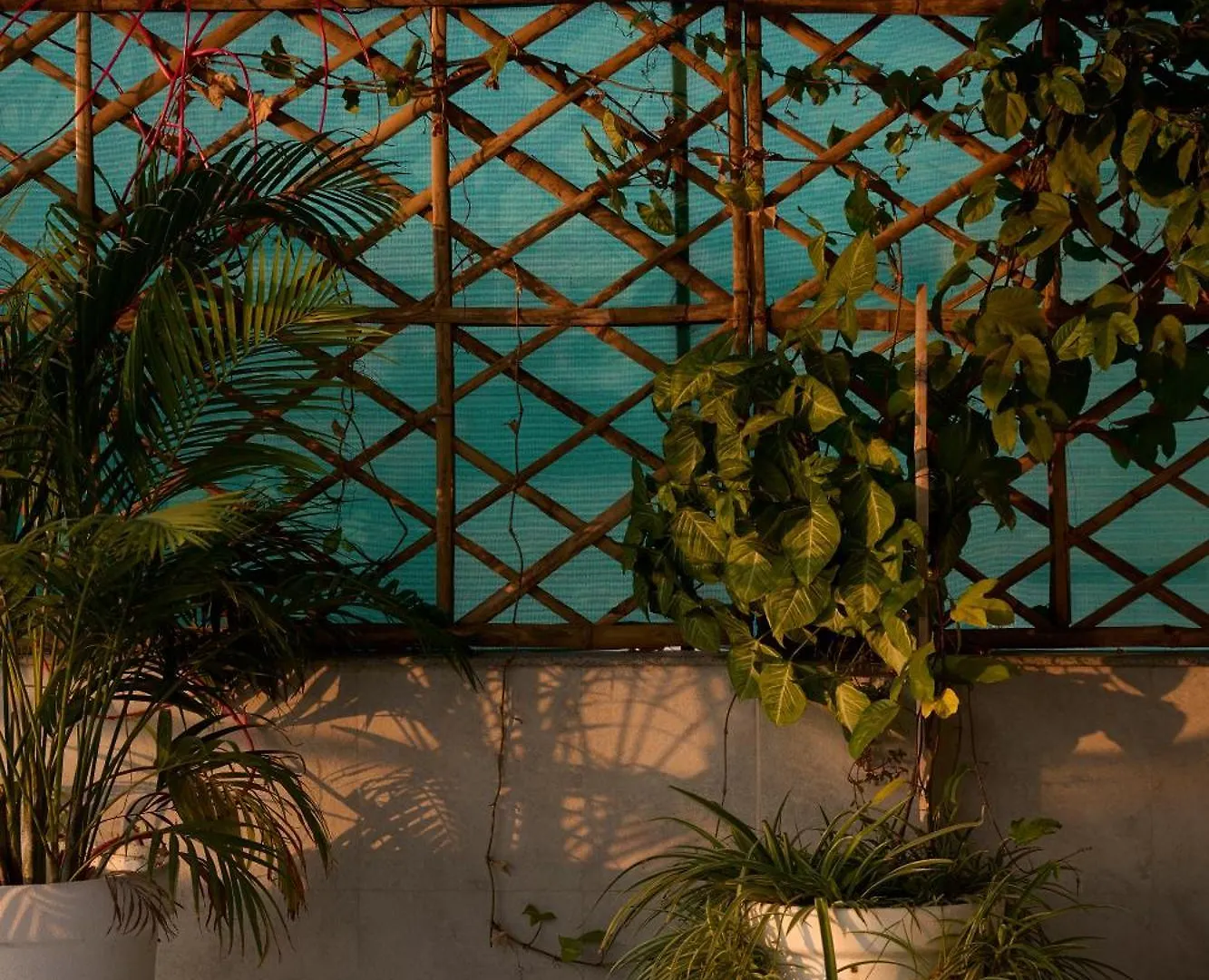 Ticana Large 1Bedroom Living Kitchen With Ac , Fiber Wifi Rooftop Garden Lake View Udaipur 0*,